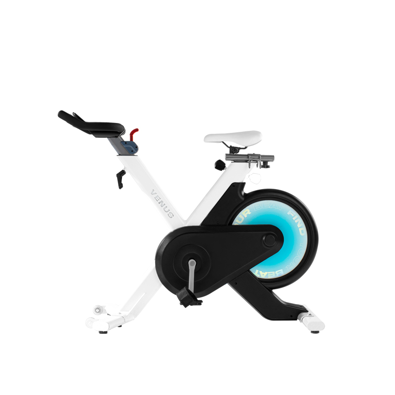 VENUS-B6